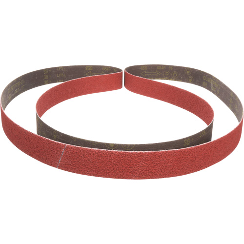 Cubitron II 984F Abrasive Belt, 2" W x 132" L, Ceramic, 36+ Grit Planification Entrepots Molloy