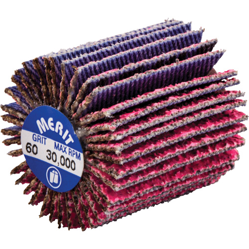 Mini-meule &agrave; lamelles filet&eacute;es, C&eacute;ramique d'alumine, Grain 60, 1" x 1" x 1/4"-20 Planification Entrepots Molloy