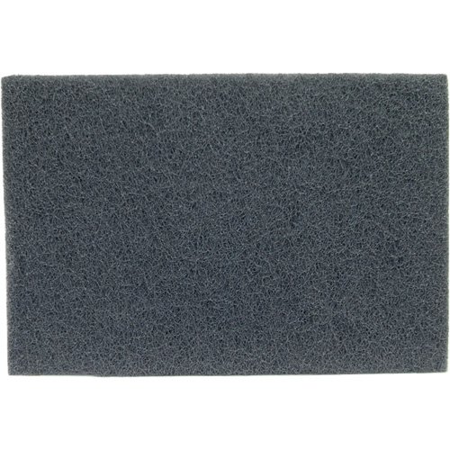 Tampons manuels Bear-Tex, Carbure de silicium, 6" x 9", Grain Moyen Planification Entrepots Molloy