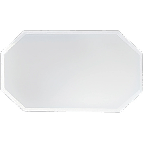 Replacement Plastic Shield for Suction & Pressure Cabinets Planification Entrepots Molloy