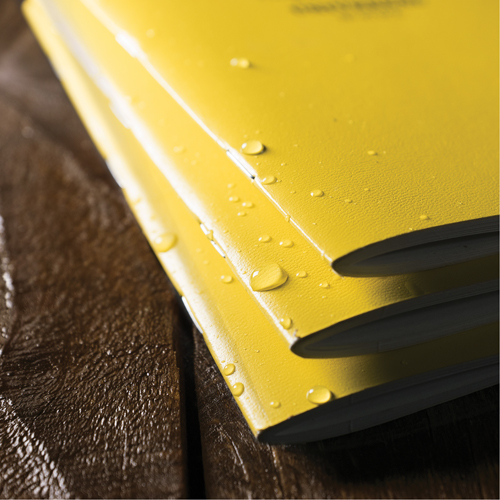 Notebook, Soft Cover, Yellow, 48 Pages, 4-5/8" W x 7" L Planification Entrepots Molloy