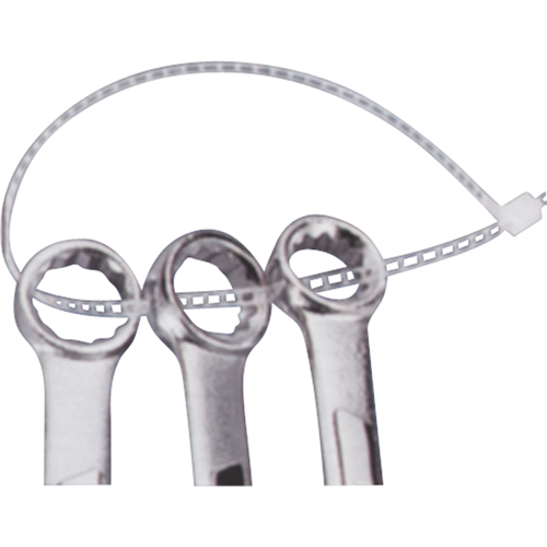 Ladder Ties, 7" Long, 40 lbs. Tensile Strength, Natural Planification Entrepots Molloy