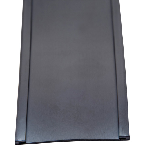 Porte-&eacute;tiquette, Magn&eacute;tique, 600" lo x 2" la Planification Entrepots Molloy