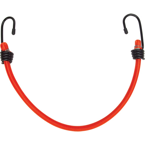 Bungee Cord Tie Downs, 12" Planification Entrepots Molloy