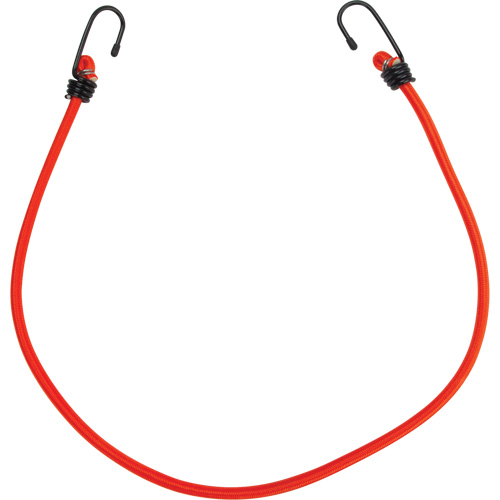 Bungee Cord Tie Downs, 30" Planification Entrepots Molloy