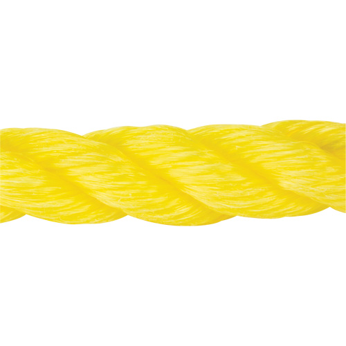 Corde jaune tress&eacute;e, Polypropyl&egrave;ne, 300' Planification Entrepots Molloy