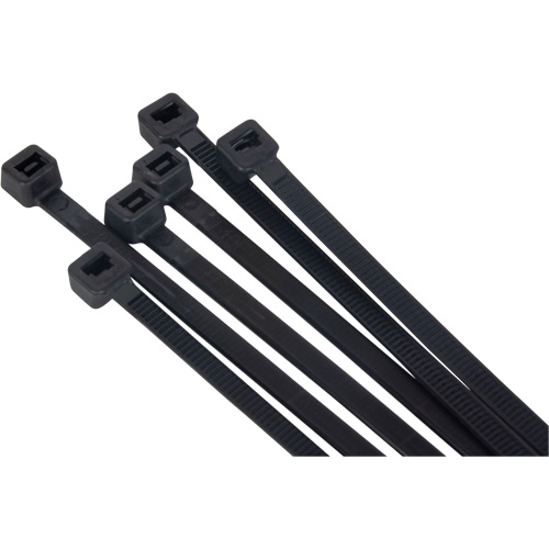 Attache pour c&acirc;bles, Longueur 15" Planification Entrepots Molloy