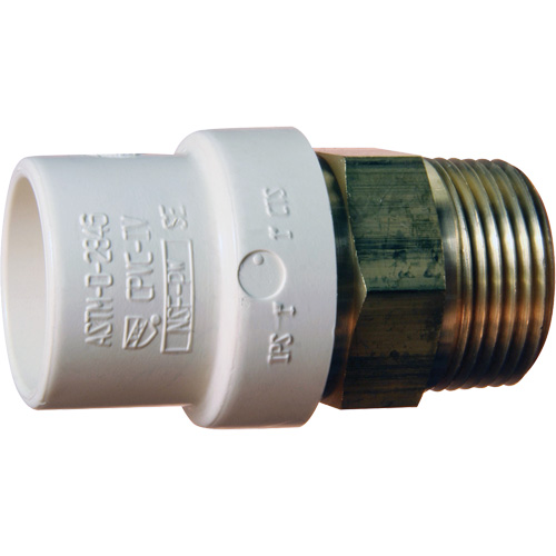 Adaptateur de tuyau filet&eacute;, Noeud x MPT, 1" dia., Laiton/PVC-C Planification Entrepots Molloy