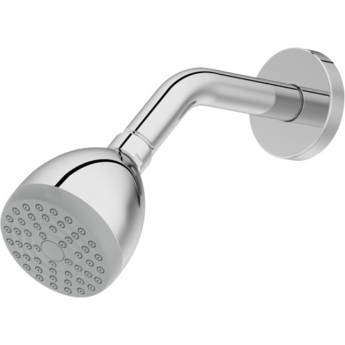 One-Function Showerhead Planification Entrepots Molloy