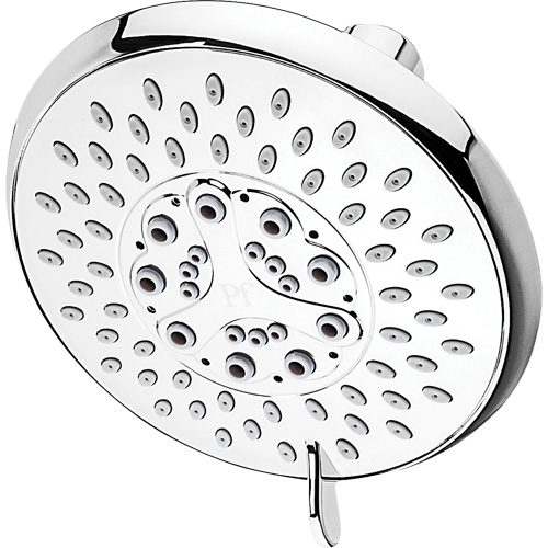 Multi-Function Showerhead Planification Entrepots Molloy