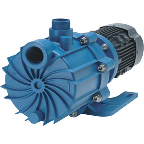 Self-Priming Magnetic Drive Pump with Carbon Bushing Planification Entrepots Molloy