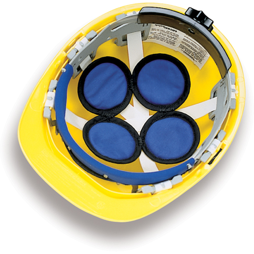 COOLING SKULL CAP Planification Entrepots Molloy