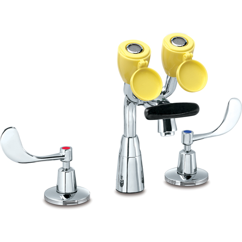 Faucet & Eyewash Station, Sink Mount Installation Planification Entrepots Molloy