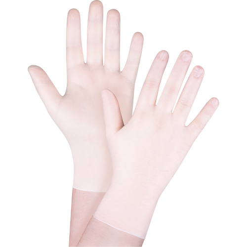 Disposable Gloves, X-Small, Vinyl, 4-mil, Powder-Free, White Planification Entrepots Molloy