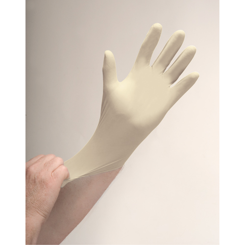 Premium Sensitive Skin Examination Gloves, Large, Latex, 4-mil, Powder-Free, Natural Planification Entrepots Molloy