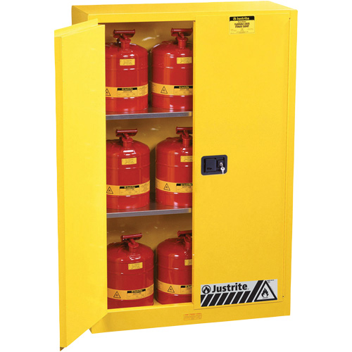 Armoires Sure-Grip EX pour produits inflammables, 45 gal., 2 Porte(s), 43" La x 65" h x 18" p Planification Entrepots Molloy