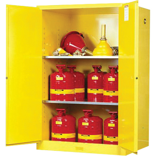 Armoires Sure-Grip EX pour produits inflammables, 90 gal., 2 Porte(s), 43" La x 65" h x 34" p Planification Entrepots Molloy