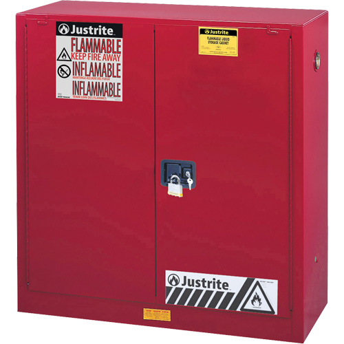 Sure-Grip&reg; EX Combustibles Safety Cabinet for Paint and Ink, 40 gal., 3 Shelves Planification Entrepots Molloy