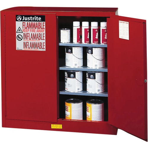 Armoire de s&eacute;curit&eacute; pour la peinture et les encres combustibles EX Sure-Grip, 40 gal., 3 tablettes Planification Entrepots Molloy