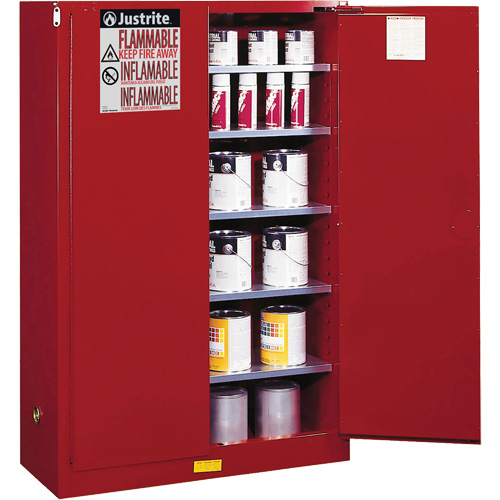 Armoire de s&eacute;curit&eacute; pour la peinture et les encres combustibles EX Sure-Grip, 60 gal., 5 tablettes Planification Entrepots Molloy
