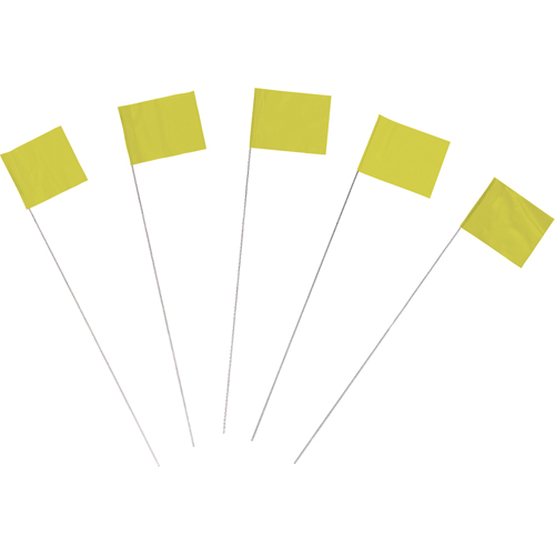 Marking Flags Planification Entrepots Molloy