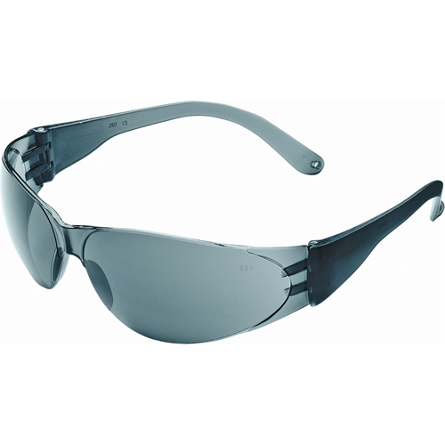 Lunettes de s&eacute;curit&eacute; Checklite Duramass, Lentille Grise/fum&eacute;e, Antibu&eacute;e/Anti-&eacute;gratignures, ANSI Z87+/R&eacute;pond ou surpasse la norme CSA Z94.3 Planification Entrepots Molloy