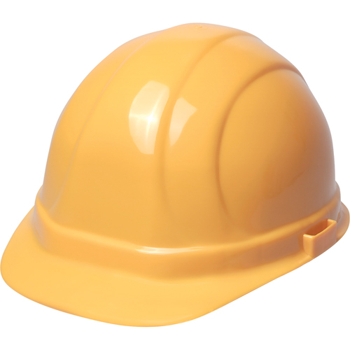 ERB Casque de s&eacute;curit&eacute; Omega II, R&eacute;pond aux normes CSA type 2, Suspension Rochet, Non ventil&eacute; Planification Entrepots Molloy