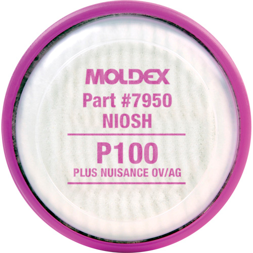 Particulate Filter Disk, Particulate Filter/Particulate Filter with Nuisance Vapour Relief, N95 Filter/Organic Vapour/Acid Gas/P100/P100 Filter/R95 Filter Planification Entrepots Molloy