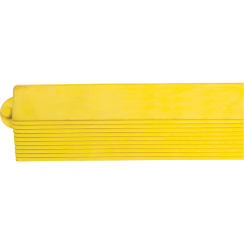Rampe de bordure pour tapis Planification Entrepots Molloy