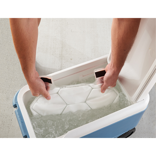 6215 Phase Change Packs for Cooling Vests Planification Entrepots Molloy