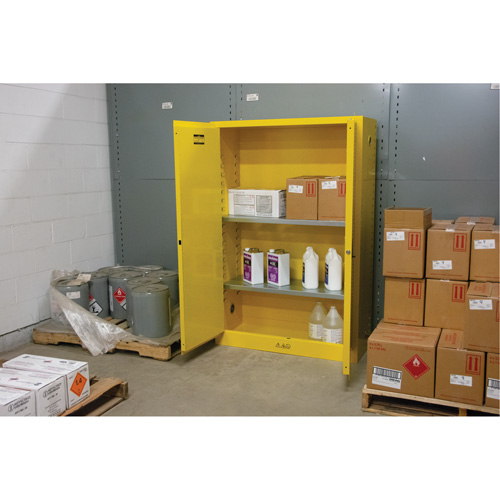 Armoire pour produits inflammables, 45 gal., 2 Porte(s), 43" La x 65" h x 18" p Planification Entrepots Molloy