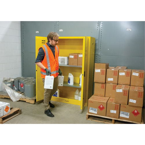 Armoire pour produits inflammables, 45 gal., 2 Porte(s), 43" La x 65" h x 18" p Planification Entrepots Molloy