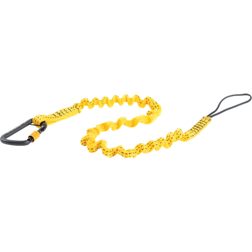 Bungee Tool Tether, Bungee, Carabiner/Loop Planification Entrepots Molloy