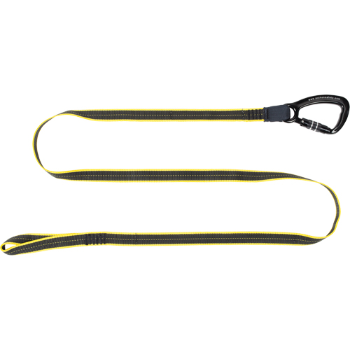Longe de service lourd pour outil, Longueur fixe, Mousqueton/boucle Planification Entrepots Molloy