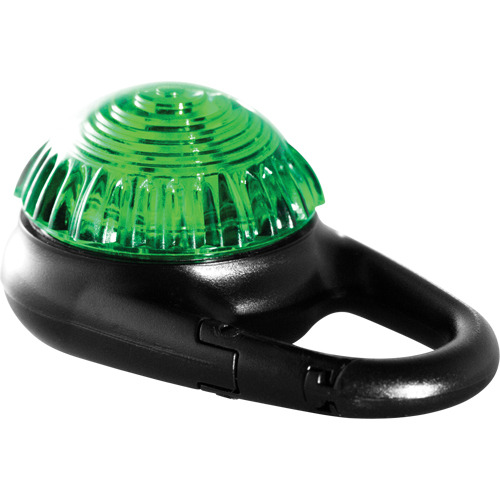 TAG-IT Guardian Warning Light, Continuous/Flashing, Green Planification Entrepots Molloy