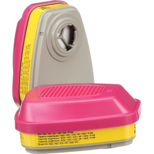 Cartouches pour respirateur s&eacute;rie 6000, Cartouche gaz/vapeur, Vapeurs organiques/Gaz acides/P100 Planification Entrepots Molloy