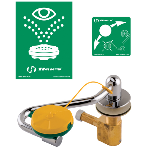 Poste de douche oculaire/faciale, Installation Montage sur &eacute;vier Planification Entrepots Molloy