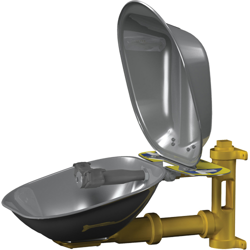 Poste de douche oculaire Halo, Installation Montage mural, Bol Acier inoxydable Planification Entrepots Molloy