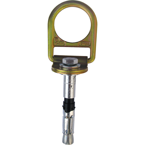 PRO Concrete D-ring Anchor with Bolt, Concrete/D-Ring, Permanent Use Planification Entrepots Molloy