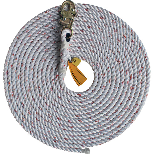 Rope Lifelines Planification Entrepots Molloy