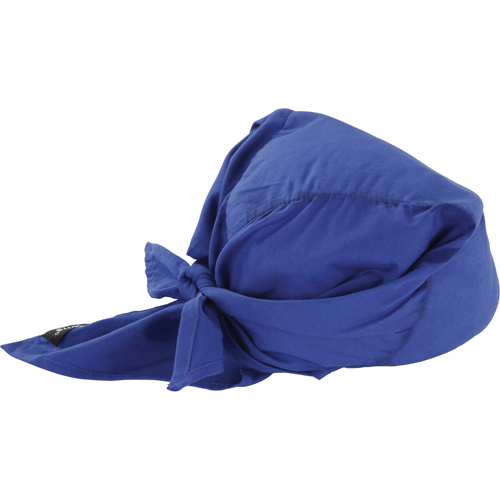 Foulards de refroidissement en triangle Chill-Its 6710CT, Bleu Planification Entrepots Molloy