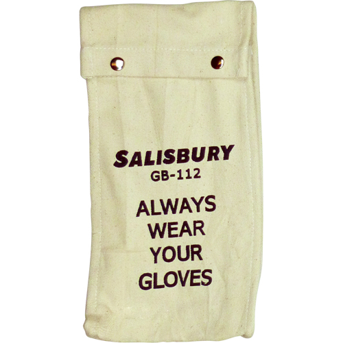 Salisbury  Glove Bags Planification Entrepots Molloy