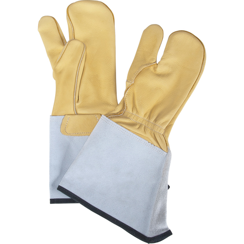 3-Finger Gloves, Medium, Grain Cowhide Palm Planification Entrepots Molloy