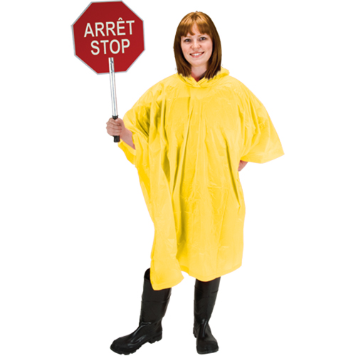 RZ Poncho Planification Entrepots Molloy
