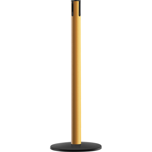 Advance TensaBarrier&reg; - Receiver Post, 36" High, Yellow Planification Entrepots Molloy