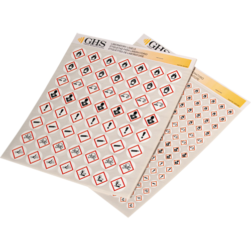 Assortiment d'&eacute;tiquettes avec pictogrammes sgh, Vinyle, Feuille, 1" lo x 1" la Planification Entrepots Molloy