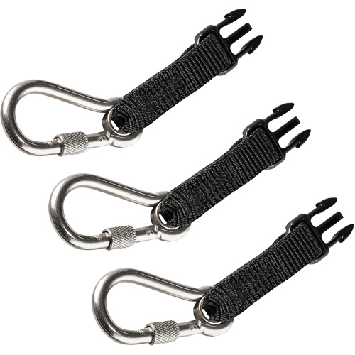 Carabiners Accessory Pack Planification Entrepots Molloy