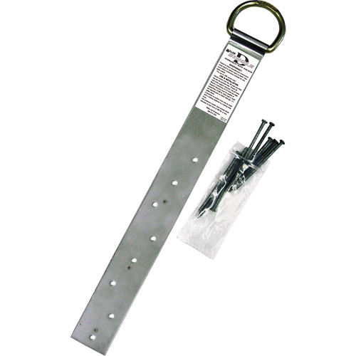 Miller&reg; Single Roof Anchor, D-Ring, Permanent Use Planification Entrepots Molloy
