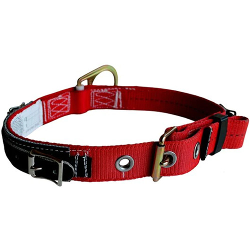 PRO Tongue-Buckle Belt Planification Entrepots Molloy