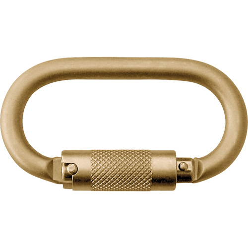 Nano-Lok Twin-Leg Fixed D-Ring Connector, Steel, 420 lbs. Capacity Planification Entrepots Molloy